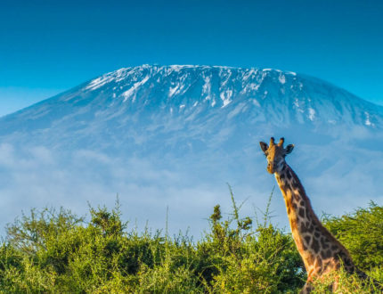 Kilimanjaro beklimmen VSO challenge