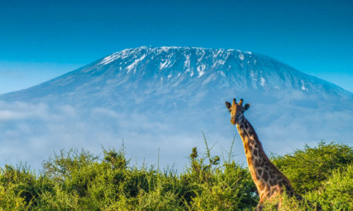 Kilimanjaro beklimmen VSO challenge