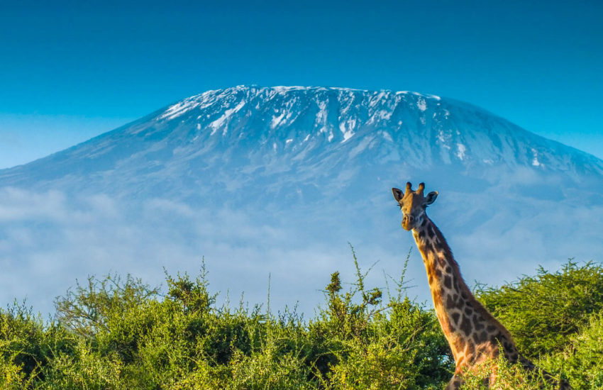 Kilimanjaro beklimmen VSO challenge